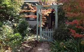 Lemon Tree Cottage
